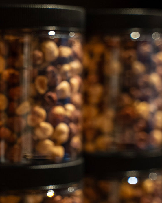 Roasted hazelnuts